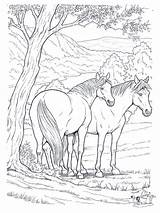 Coloring Pages Horses Horse Printable Kids sketch template