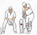Wicket Batsman Contents Lowstars Visión sketch template