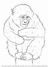 Macaque Draw sketch template