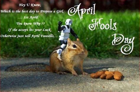 funny april fools day quotes  wishes  yard