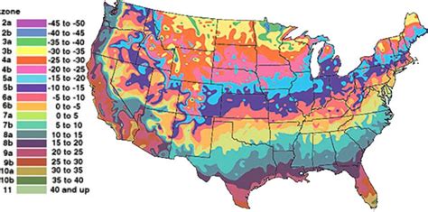 hardiness zones  explained   displayed  charts  comparison grow great vegetables