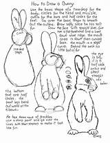 Bunny Draw Worksheet Drawing Worksheets Animals Artist Young Rabbit Drawings Basic Printable Lessons Techniques Kids Sketch Observation Child Animal sketch template