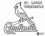 Cardinals Coloring Pages Louis St Baseball Mlb Stl Cardinal Sports Printable Jersey Arizona Red Softball Logo Sox Print Yescoloring Bird sketch template