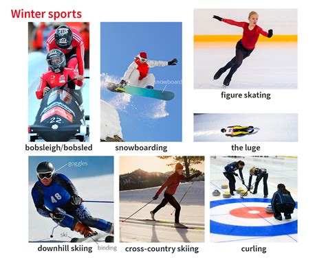 winter sports noun definition pictures pronunciation  usage