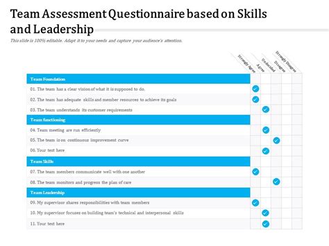 team assessment questionnaire based  skills  leadership  graphics