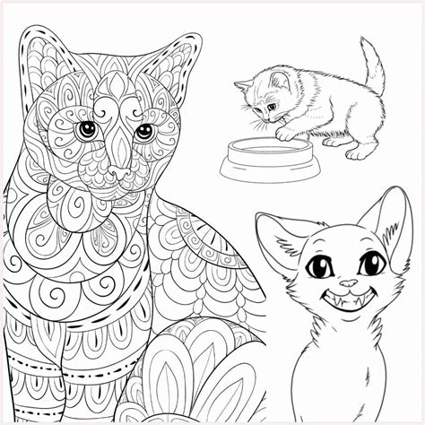 cat coloring pages  kids adults  printable cat coloring