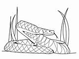Snake Coloring Pages Viper Printable Mamba Cobra Python Draw Kids Skin Snakes Color Print Sheet Drawing Spitting Rattlesnake Drawings Clipart sketch template