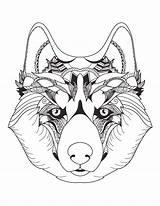 Loup Magnifique Tête Mindfulness Artherapie Loups Tete Coloring Imprimez Cliquez Gratuitement sketch template