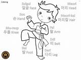 Coloring Taekwondo sketch template