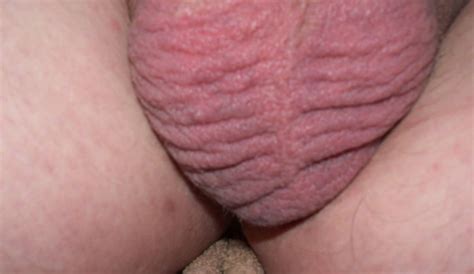 my shaved cock and balls close up 20 pics xhamster