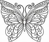 Butterfly Outline Svg Outlines Coloring Print Mandala Template Quilling Patterns Mariposas Para Drawing Paper  Designs Embroiderydesigns Cricut Silhouette Stencil sketch template