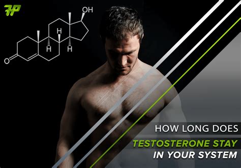 How Long Does Testosterone Stay In Your System All You Need To Know