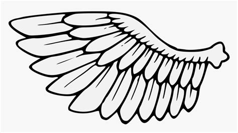 bird wings clipart clip art  wing wings clipart black  white