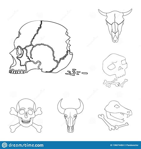 vector illustration of skeleton and character symbol