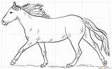 Horse Coloring Pages Running Horses Drawing Appaloosa Draw Printable Spotted Kids Getdrawings Sheets Equestrian Line Print Leopard Coat Tracing Tutorials sketch template