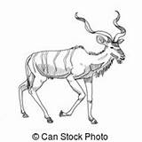 Kudu Clipart Clipground Vector sketch template