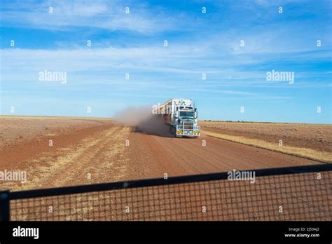 cattle truck kicking dust   historic barkly stock route barkly