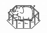 Elefante Jaula Kooi Olifant Gabbia Colorir Tudodesenhos Educolor Kleurplaten Schoolplaten sketch template