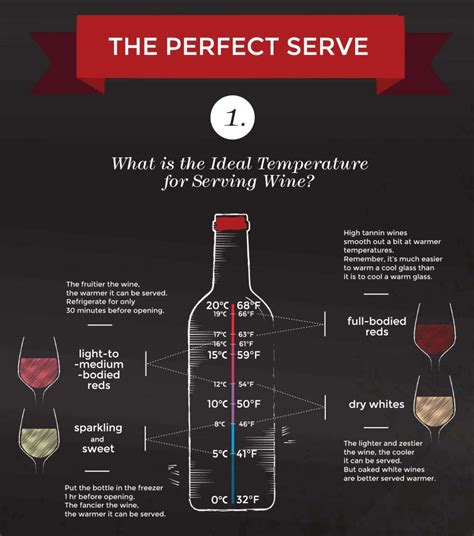 wine drinkers guide temperatures  serving infographic