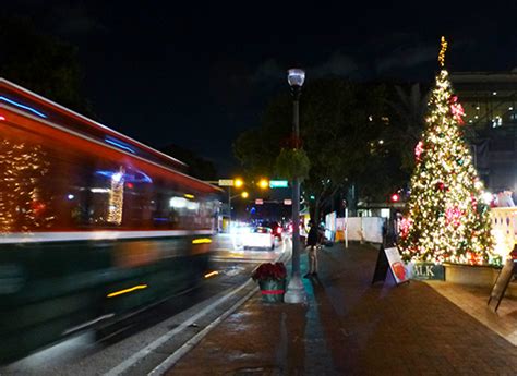 coconut grove grapevine introducing  years christmas tree