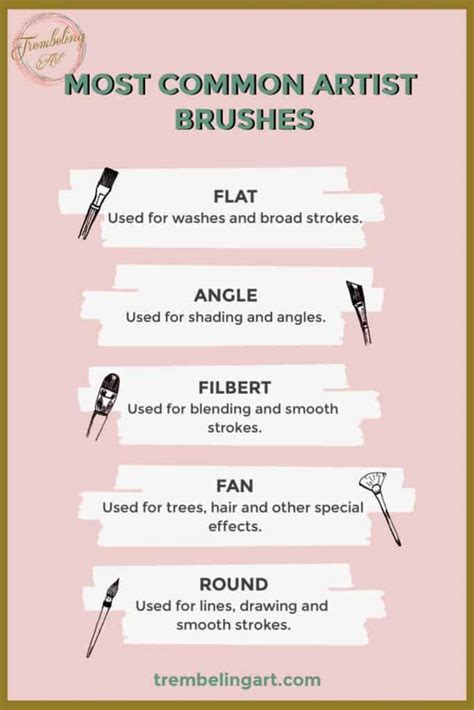choosing brushes   beginner   brushes