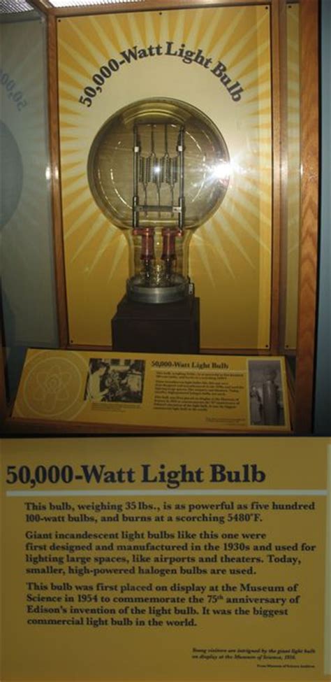 incandescent  watt incandescent light bulb gallery  lights