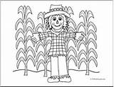 Cornfield Coloring 236px 43kb sketch template