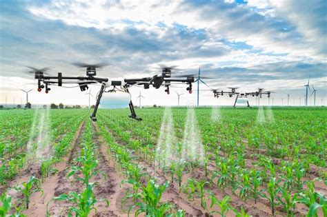agriculture drone fly  sprayed fertilizer   corn fields sponsored fly drone