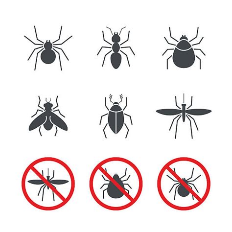 Best Spider Bite Illustrations Royalty Free Vector Graphics And Clip Art