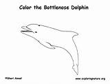 Dolphin Coloring Bottlenose Sponsors Wonderful Support Please Printing Pdf sketch template