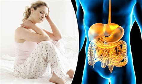 Irritable Bowel Syndrome Taking Probiotics Could Ease Symptoms