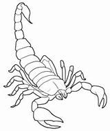 Scorpions sketch template