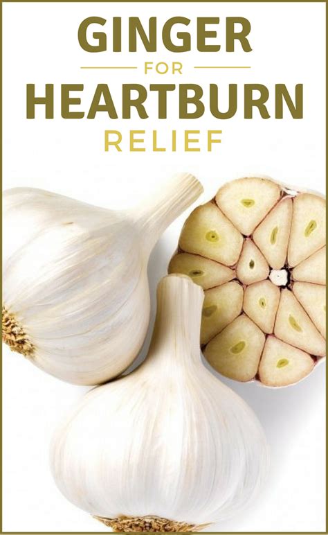 ginger for heartburn relief candida yeast infection natural remedies