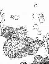 Coral Coloring Pages Reef Barrier Great Sponge Sea Color Printable Drawing Brain Getcolorings Print Getdrawings Sheet Animals Orchid Fish Popular sketch template