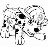 Canina Patrulla Patrol Peques Aprendan Entretengan Solamente Descargarlas sketch template