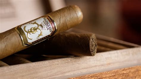 the 20 best cuban cigar alternatives underrated smokes and flavors