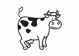 Coloring Cow Large Koe Kleurplaat sketch template
