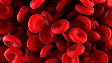 iron deficiency anemia everyday health