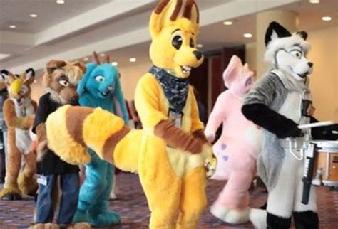rochester furrycon 2015 begins furries say they re misunderstood