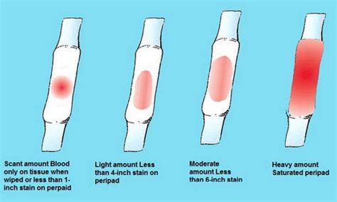 How Long Does It Take For Implantation Bleeding To Occur Pregnancy Test