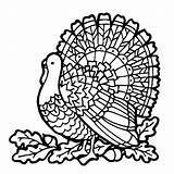 Turkey Coloring Pages Baby Thanksgiving Happy Getcolorings Clipartmag Drawing Printable Color sketch template