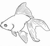 Goldfish Coloring Pages Printable Kids Fish Drawing Realistic Drawings Colorear Para Small sketch template