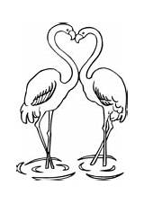 Flamingo Coloring Pages Flamingos Print Birds Printable Couple Color Kids Recommended sketch template