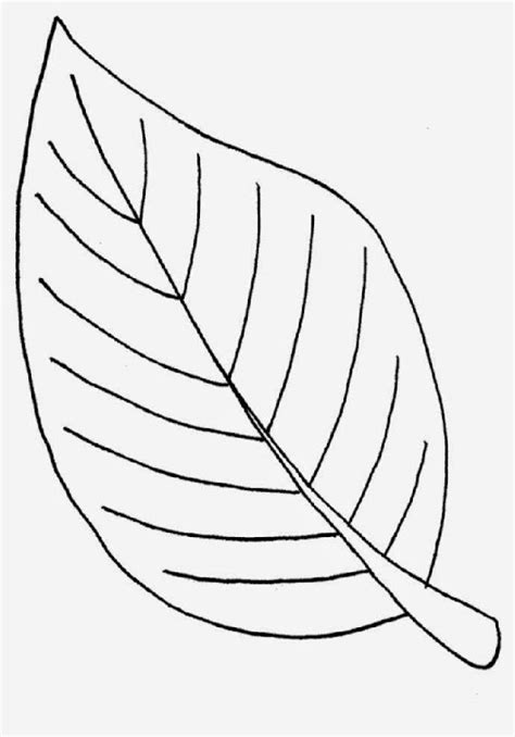 mpalm leaf coloring page printable coloring pages