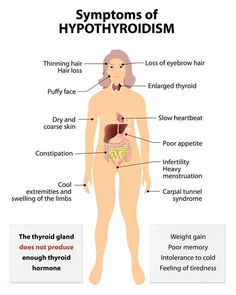 female weight gain tips products hypothyroidism