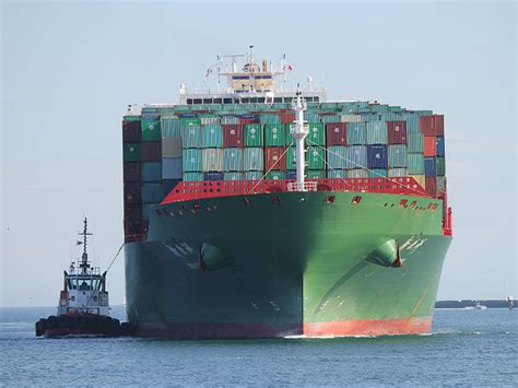 top  biggest shipping companies   world drivespark