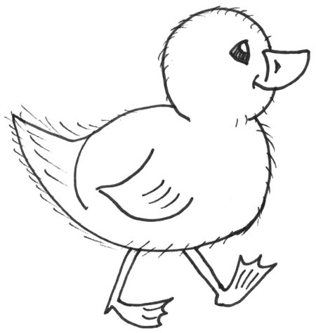 coloring pages mega blog baby chicken cute animal coloring sheet