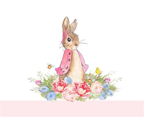 peter rabbit pink flopsy bunny png sublimation design baby  shirt design baby bodysuit