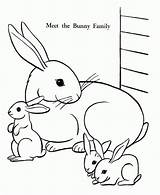 Bunny Easter Coloring Pages Printable Family sketch template