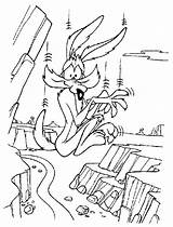 Coyote Wile Looney Tunes Abismo Caindo Coiote Correcaminos Colorir Desenhos Toons Tudodesenhos sketch template
